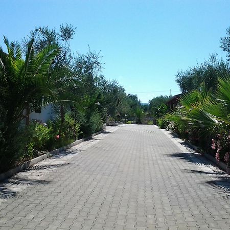 Villa Terra Nostra Vieste Habitación foto